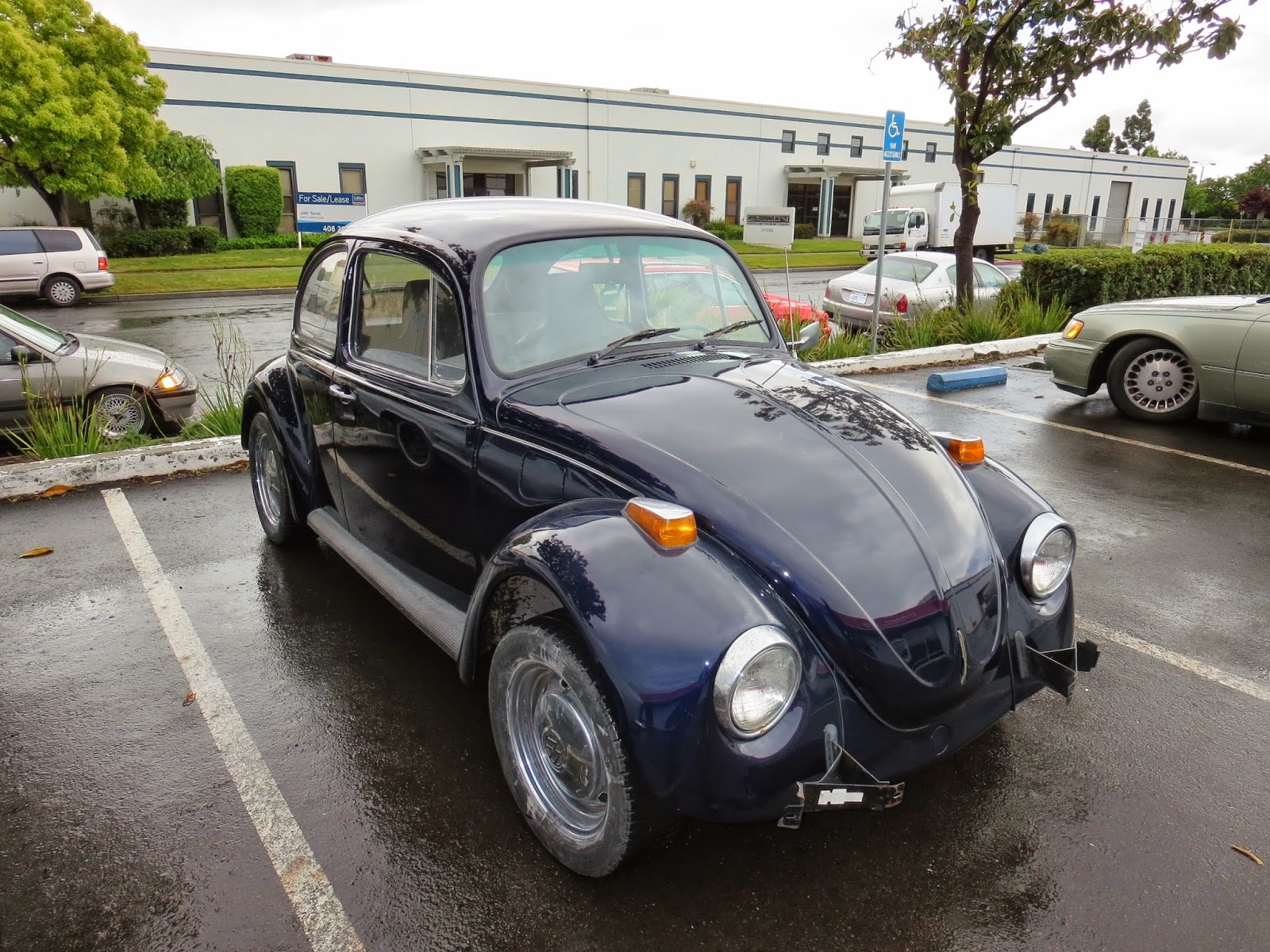 Auto BodyCollision RepairCar Paint in FremontHaywardUnion CitySan