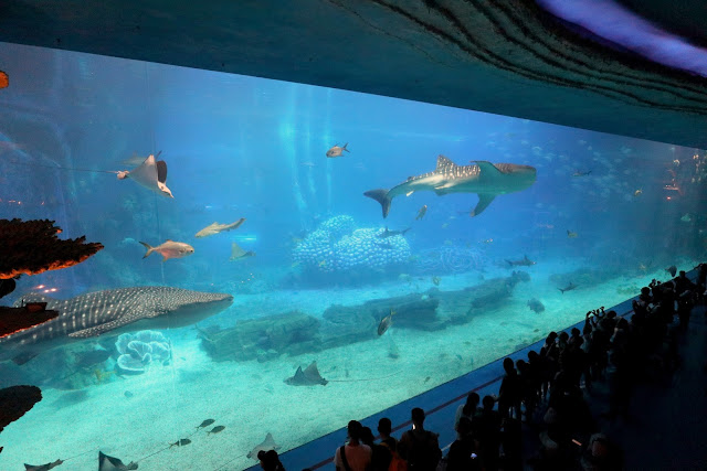 珠海長隆海洋王國．世界最大水族館