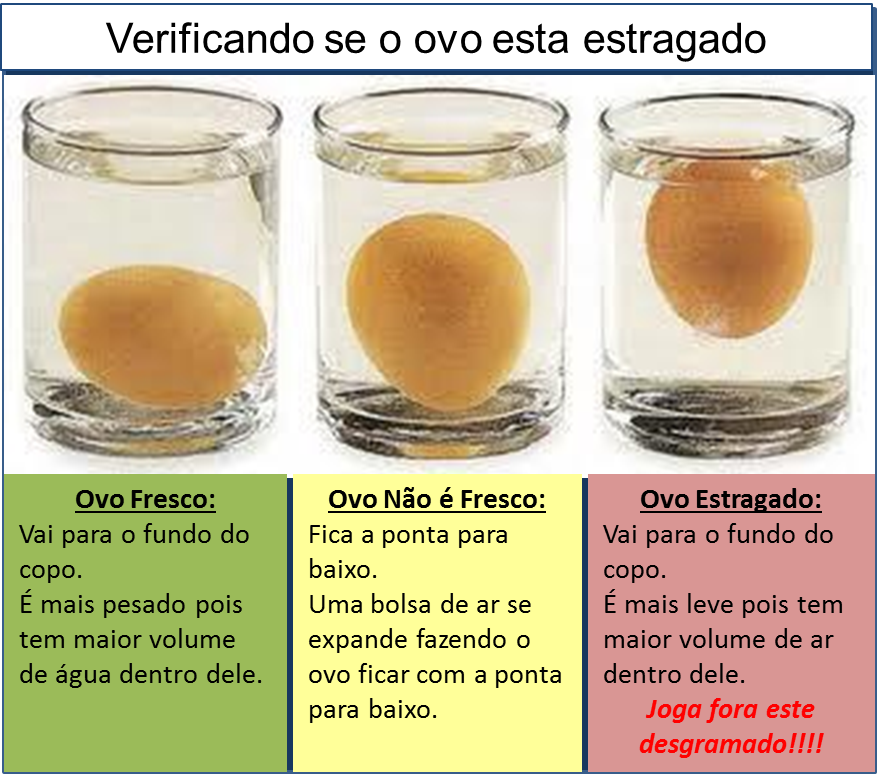 Eu amo minha família, minha casa, minha vida Como saber se o ovo está bom