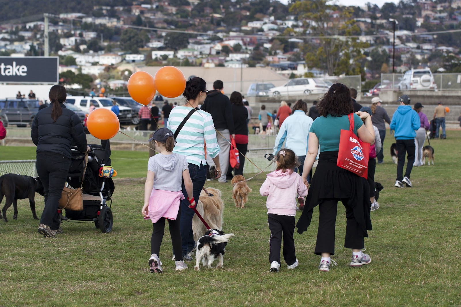 CEO RSPCA Tasmania 2012