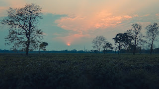 Sunset Background Free Stock Images sunset background, pexels, pexels free stock photos, background images, stock photos, sunset wallpaper, stock background, free stock