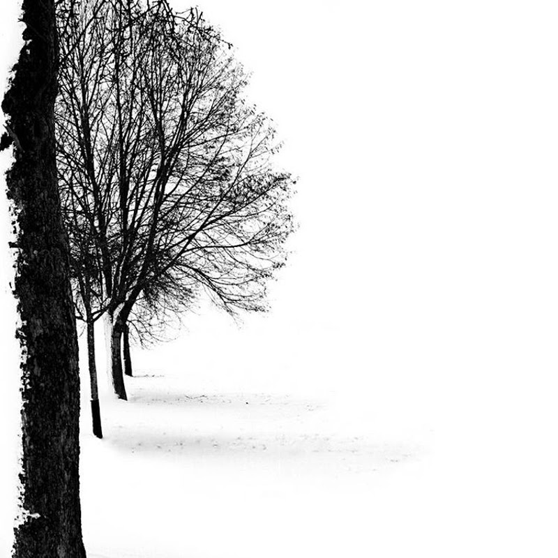 Nature by Minimalist Photographer Karin Hetzlinger from Austria.