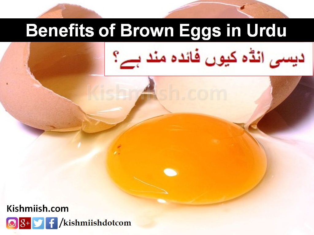 Desi Andey Ke Faide (Benefits of Brown Eggs in Urdu)