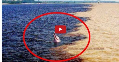 VIDEO: Terpisahnya Air Laut Yang Menjadi Bukti Akan Kebenaran Al Qur’an