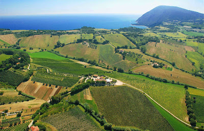 moroder conero vino moroder conero