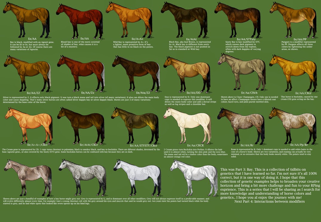 Iowa Grognard: Horse Color Charts
