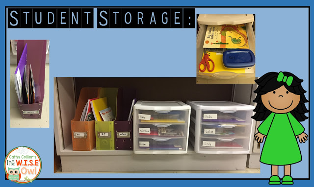 LLI is an amazing Tier 2 intervention at my school, but it comes with LOTS of "stuff." This post gives some organization ideas for this great program.