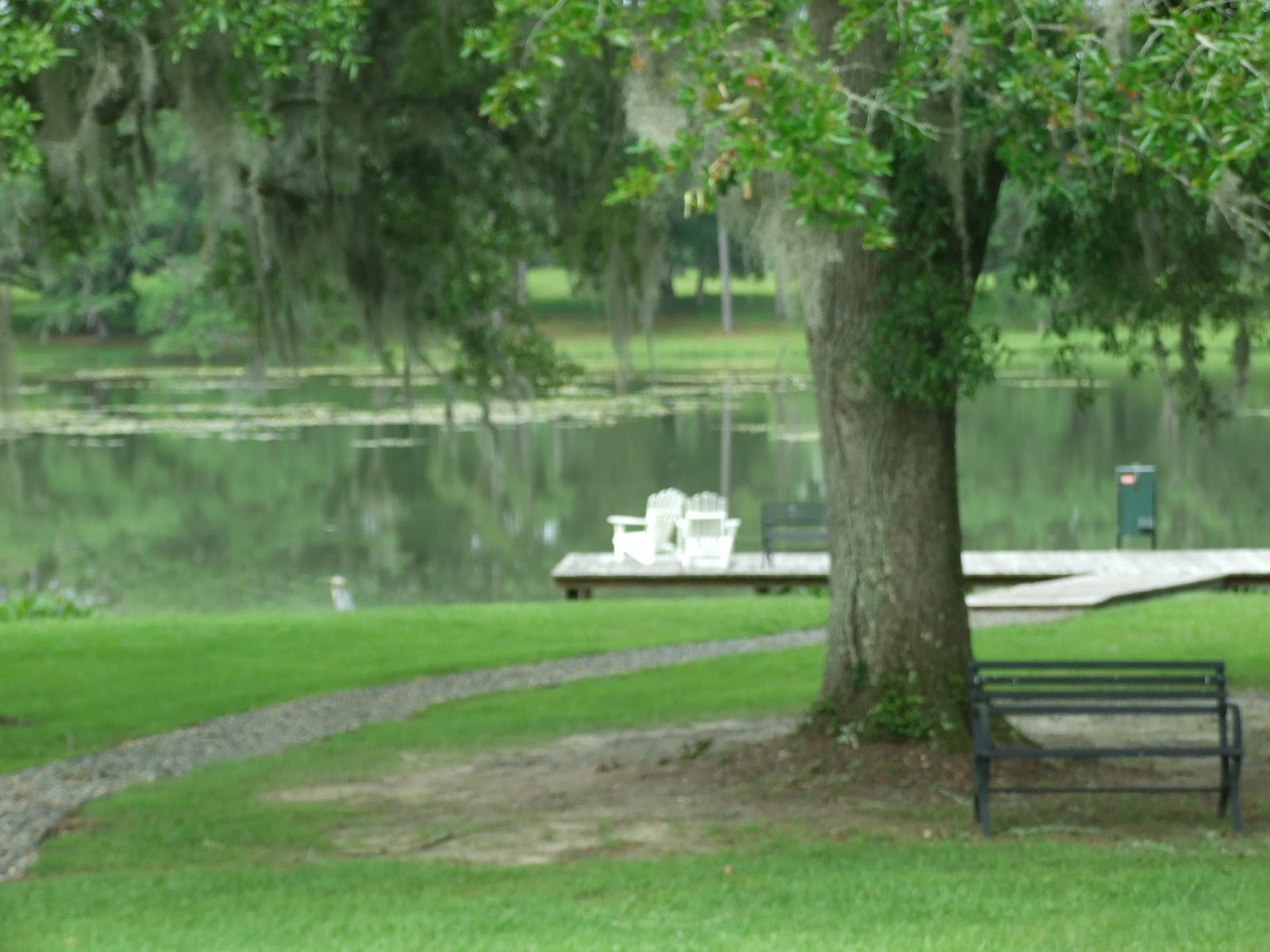 reKindle Photography Love at Centerville Conservation Community
