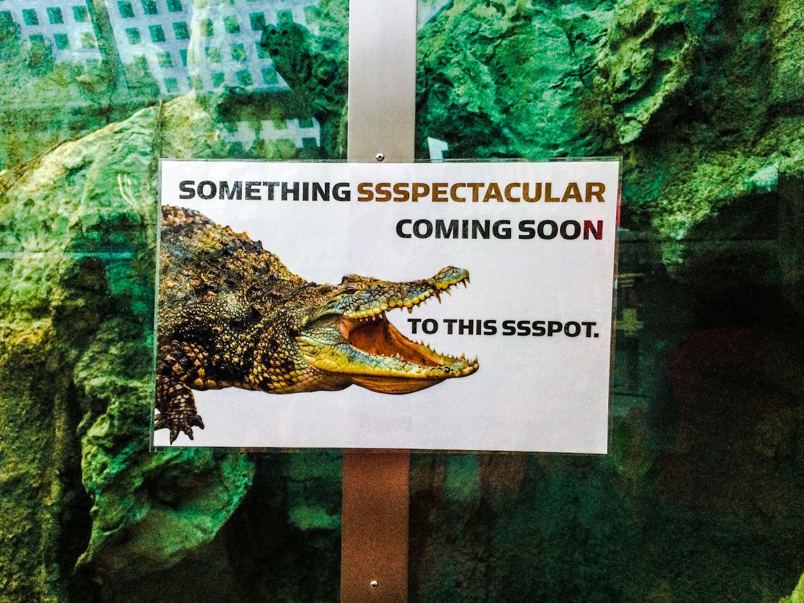 Behind The Scenes At The New Zoo Atlanta Scaly Slimy Spectacular