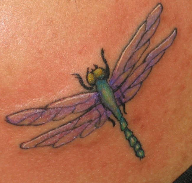 FREE TATTOO PICTURES: Dragonfly Tattoos - Where Can You Get Ideas And ...