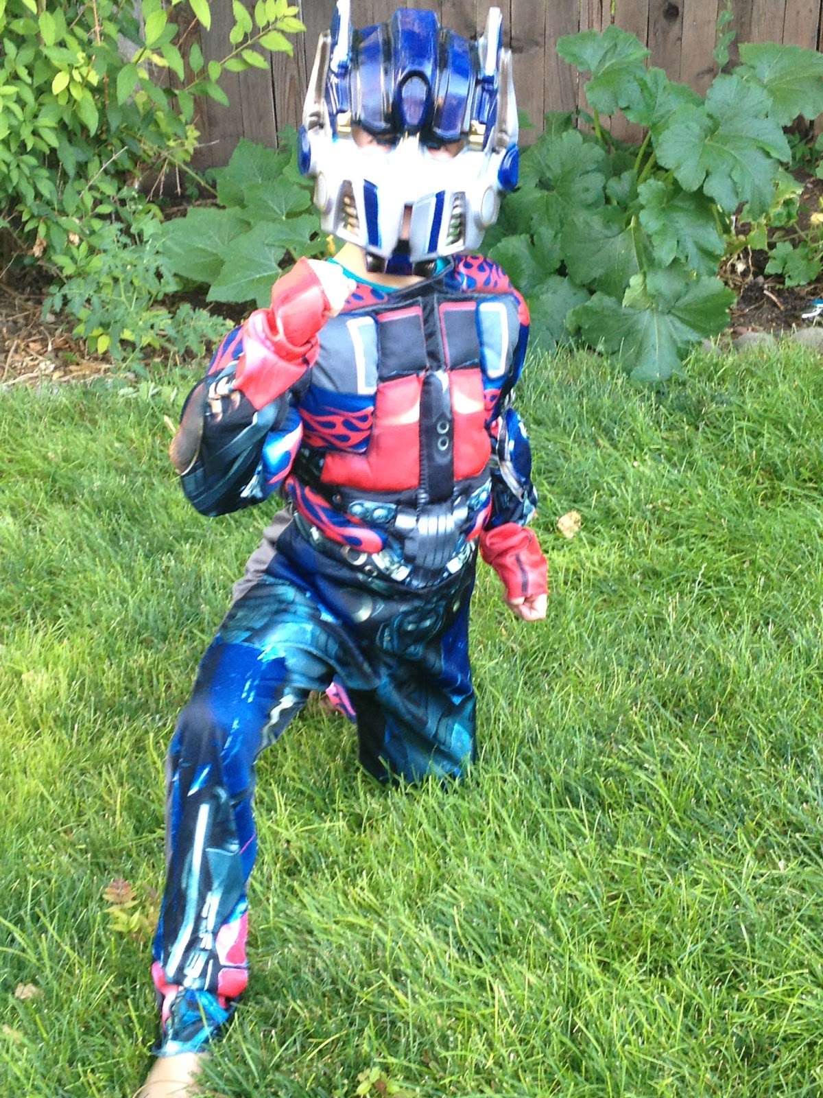 Heart Zipper Halloween Adventure Costume Review