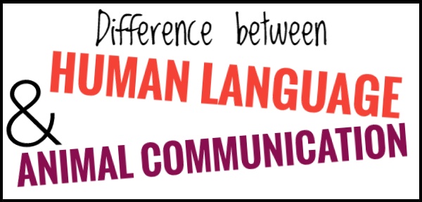 Difference between human language and animal communication