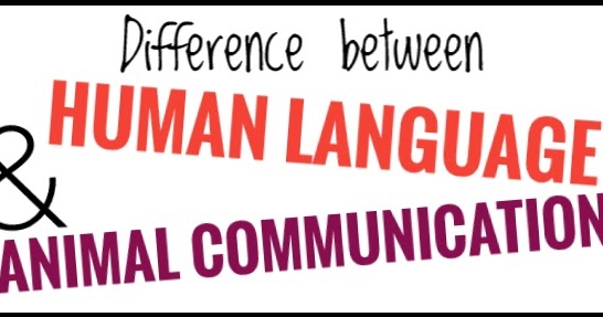 Difference between human language and animal communication