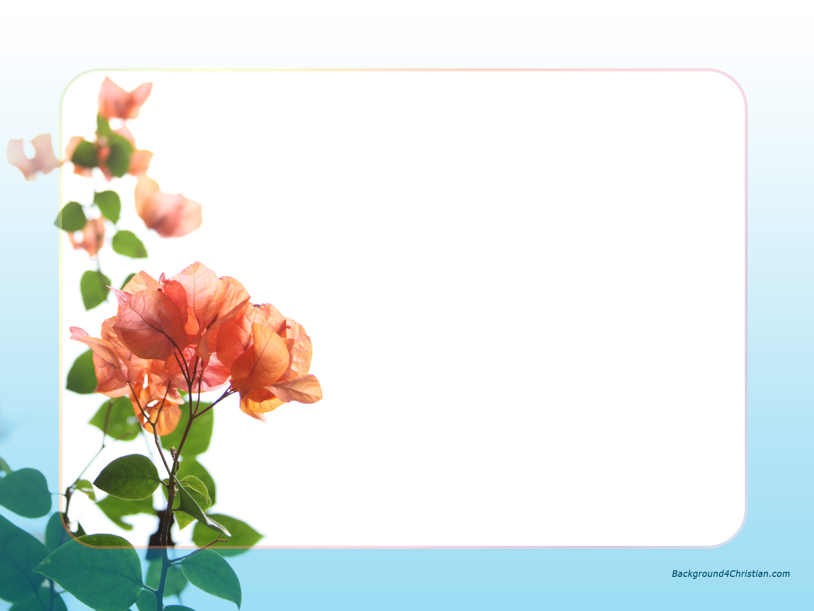 new photo frames 2011 free download Free photo frame download.