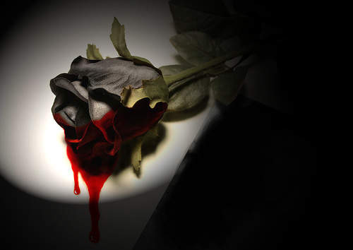 http://4.bp.blogspot.com/-H6WziSFkPXA/UdMFgKyLHNI/AAAAAAAAABA/SD8ZUH0UKSA/s500/13369624471931723670.jpg