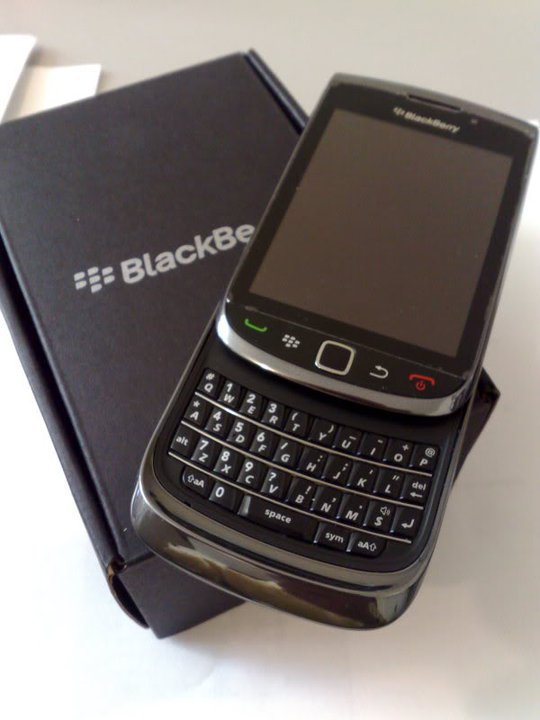 BUNGA CELLULER BlackBerry Torch 9800