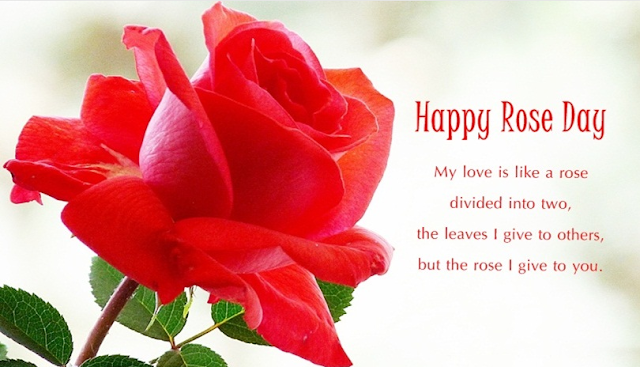 Rose Day Images Rose Day Images