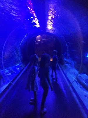 S15S Travels, Sealife Centre, Val D'Europe