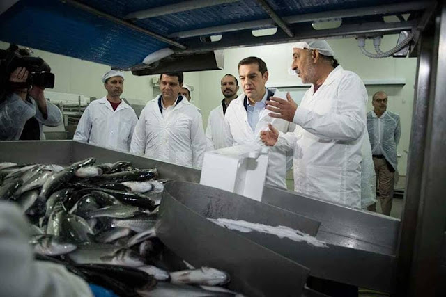 Θεσπρωτία: Στους ιχθυοκαλλιεργητές Τσίπρας και Χαρίτσης