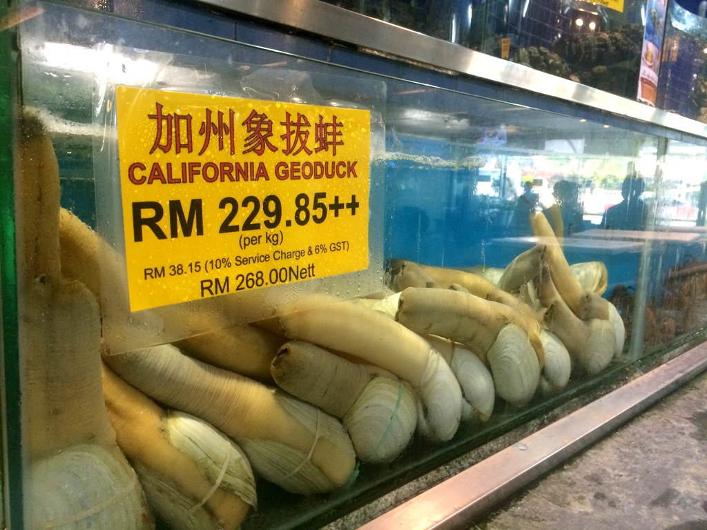 Travelholic: Unique Seafood Restaurant - serving seafood freshness