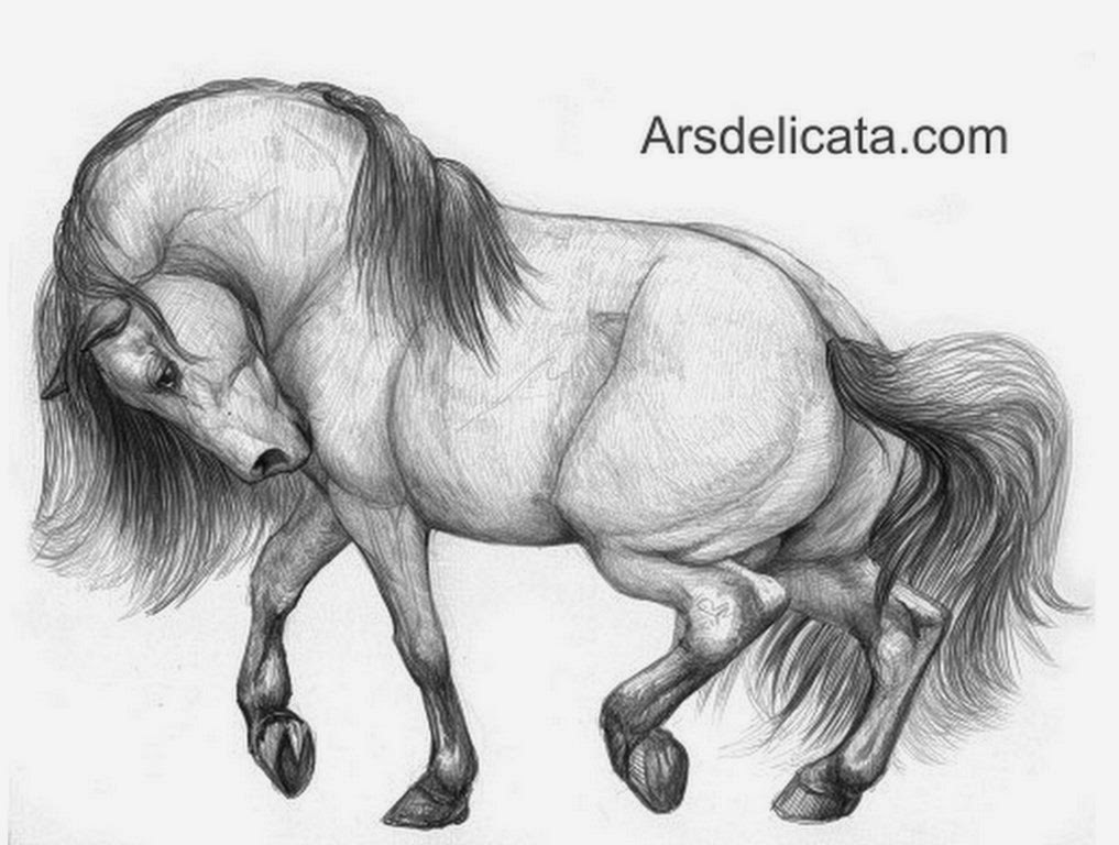 EL ARTE Y ACTIVIDAD CULTURAL: Bonitos Dibujos de Caballos a Lápiz, Galería 1