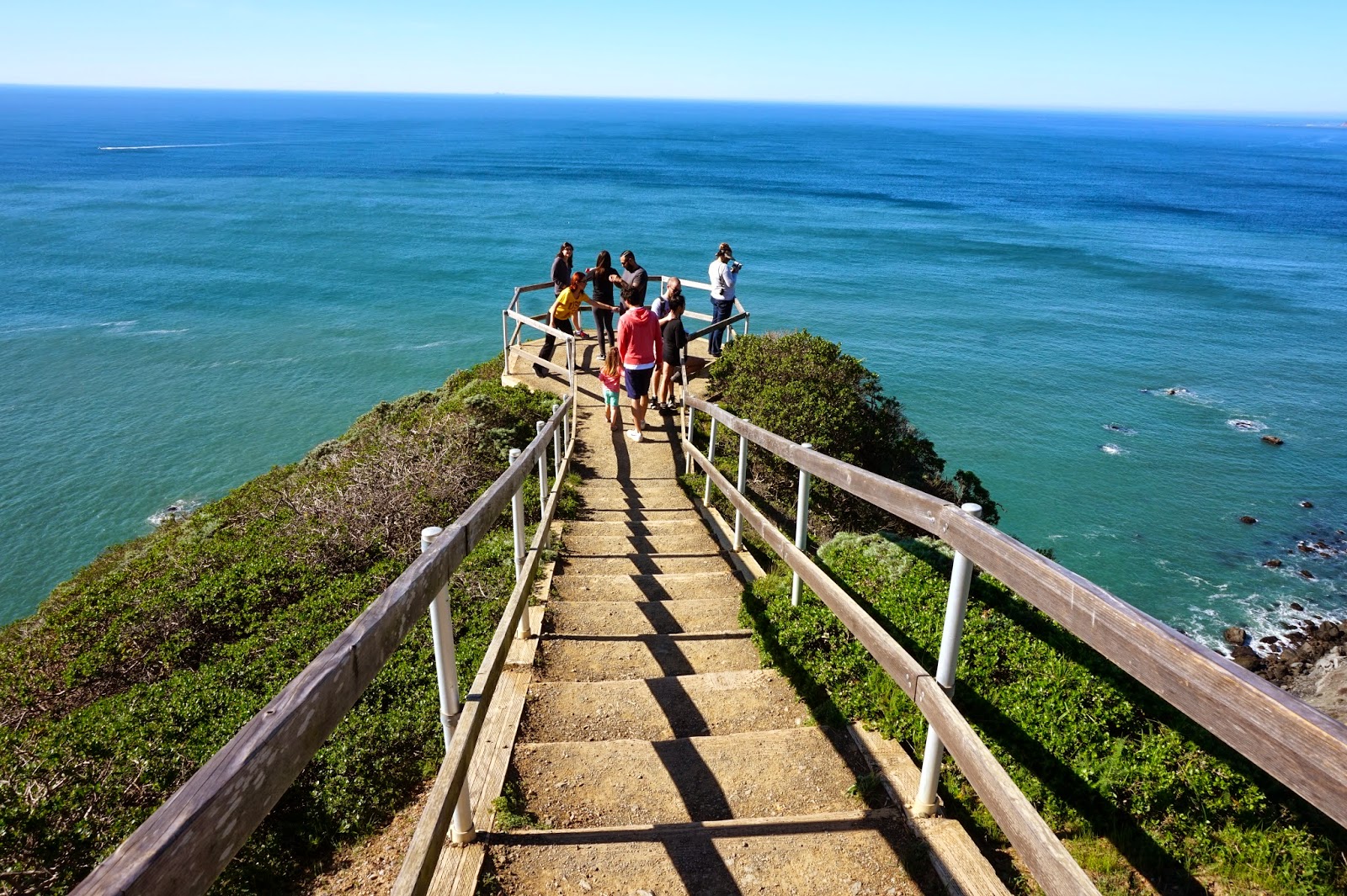 The Thrifty Traveler A day at Muir Woods