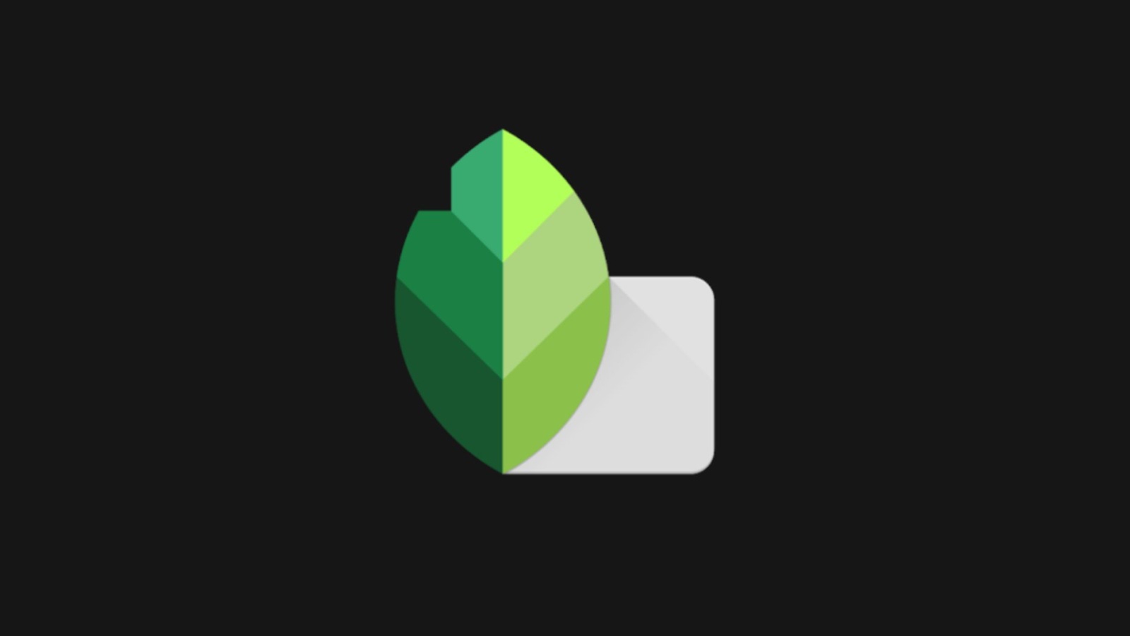 Snapseed v2.1.9 Adds Dark Theme And Adaptive Icon Support Kickedface