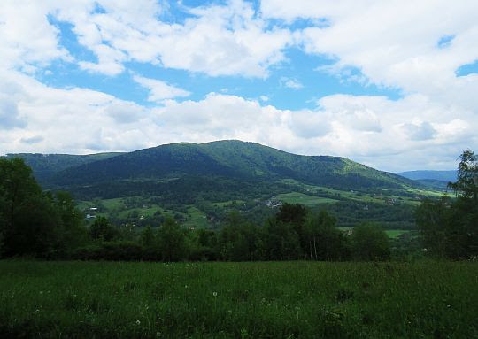 Szczebel ze stoków Lubogoszcza. Szczebel ze stoków Lubogoszcza.