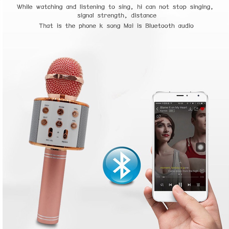 WS858 Wireless Karaoke Microphone Risa Online Shopping Mart