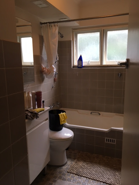 Bathroom Before 1