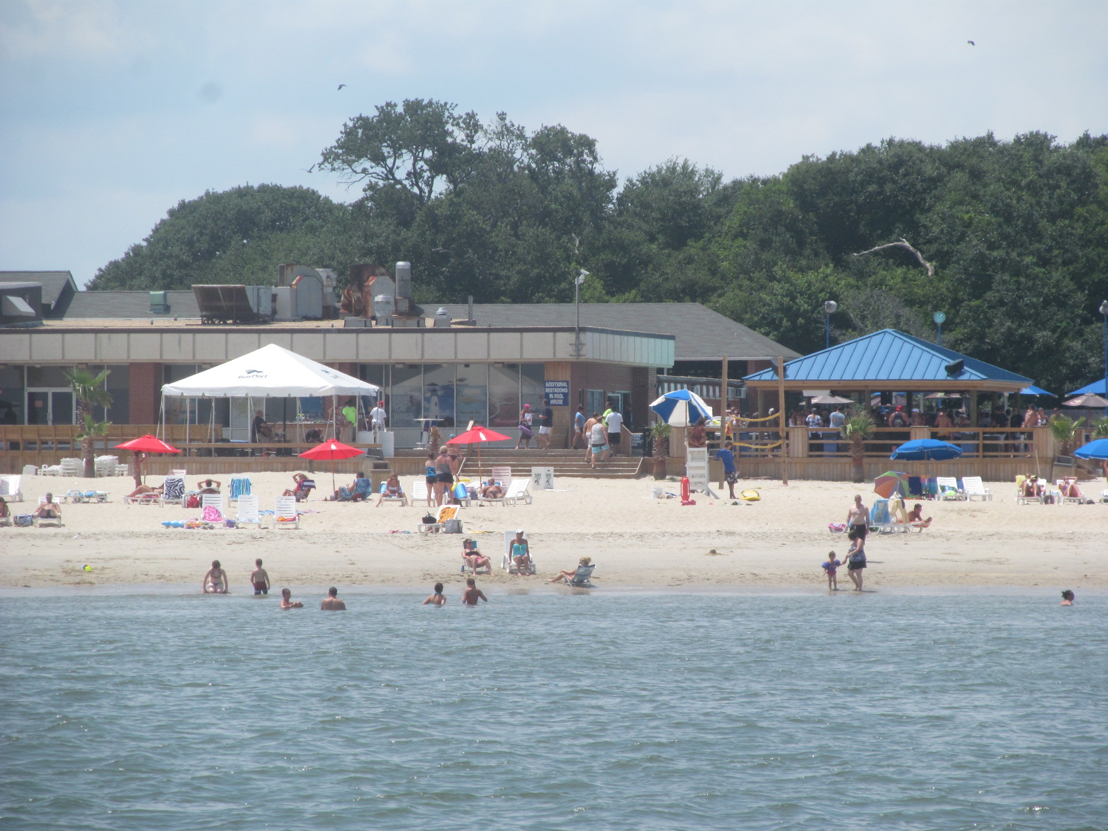 Log of the ELISSA II Cape Charles and Deltaville Virginia Cruises