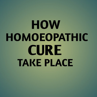 Homoeopathy, Homoeopathic Cure , How Homoeopathic cures takes place