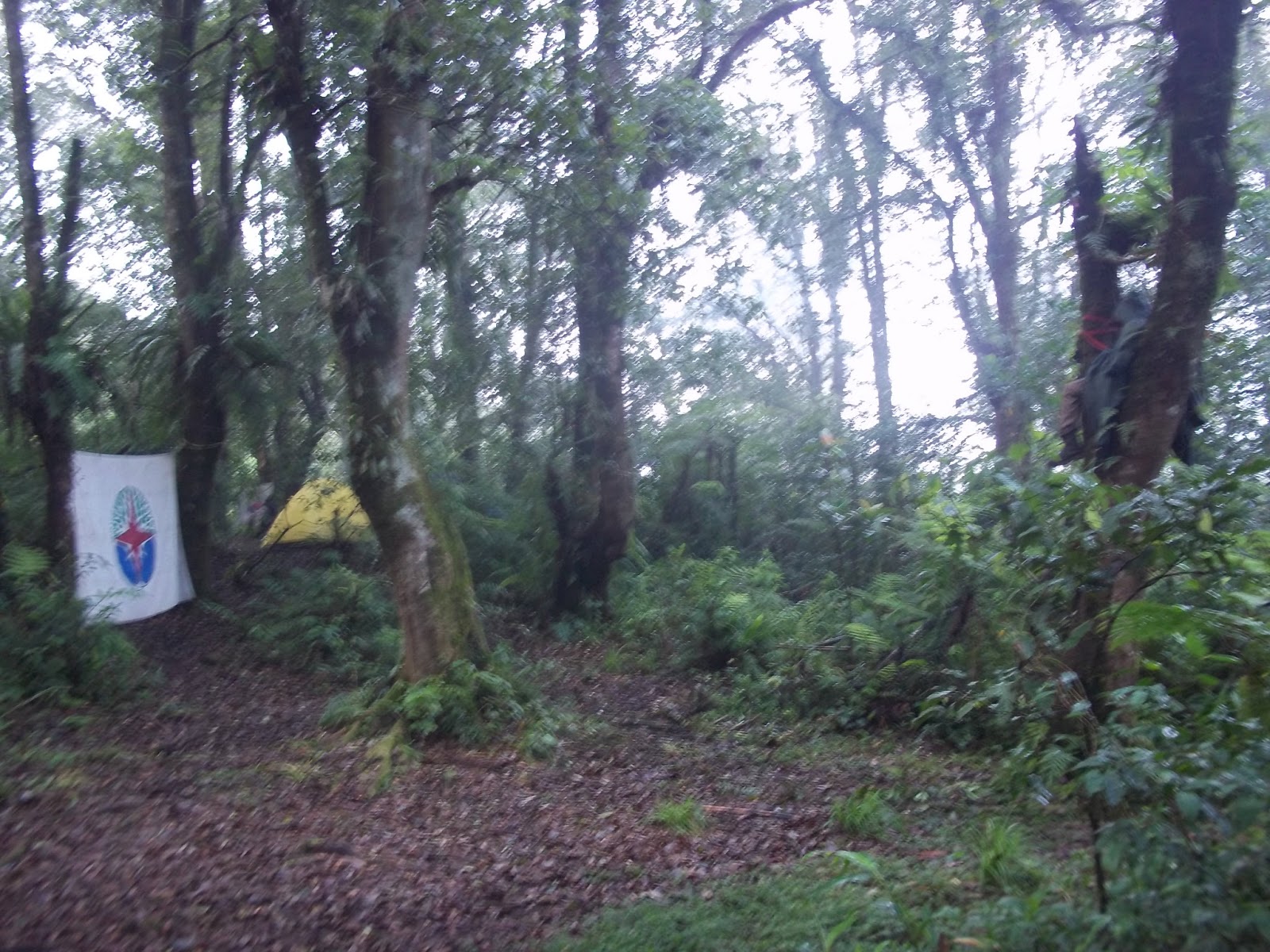 Cerita Pendidikan Dasar: Tidur Kalong - gandawesi.or.id