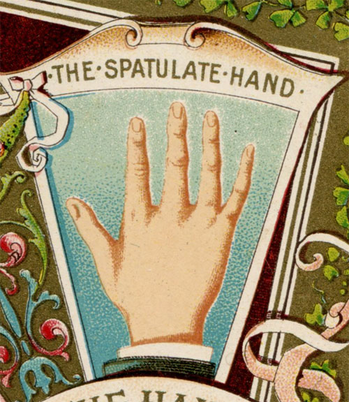 Victorian Calling Cards: Victorian Hand Analysis