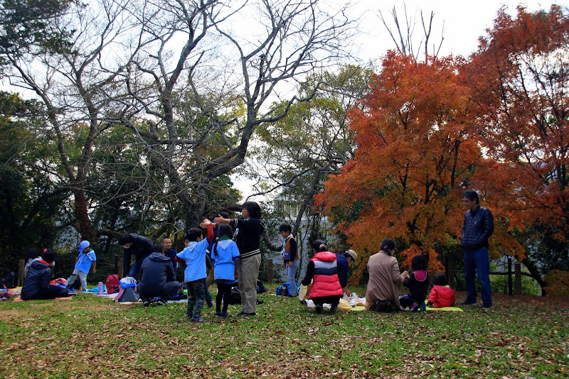 東京紅葉遊賞 成田山新勝寺 關東門戶第一景 阿舍的精彩生活
