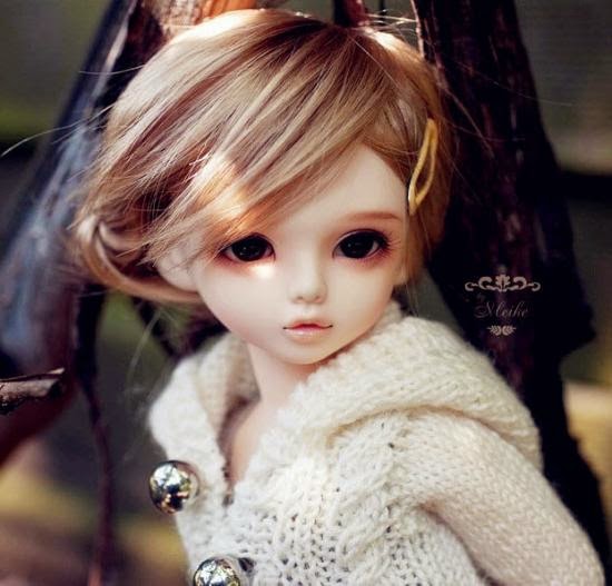 My Image 12