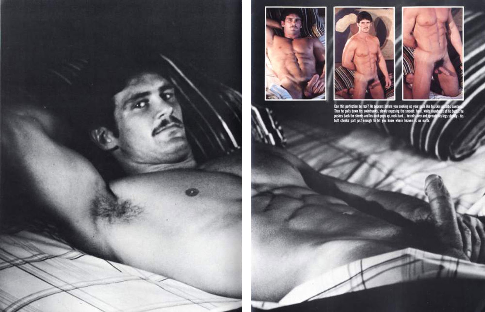 bob andrews gay johnny depps gay