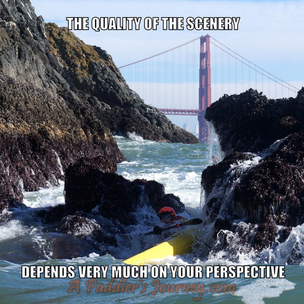 Paddle California Kayak Meme Machine 5