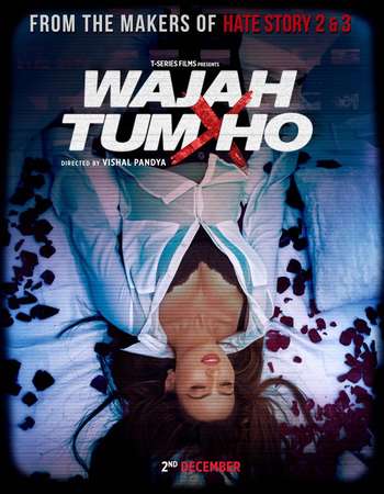 Wajah Tum Ho 2016 Hindi 400MB DVDRip 480p ESubs