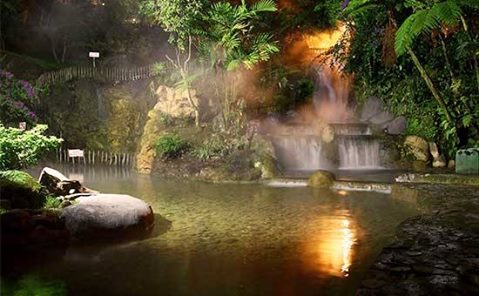 Mấy con khỉ ở Bandung Mấy con khỉ ở Bandung