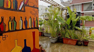 Plants in your decor - mexinter Plants in your decor - mexinter