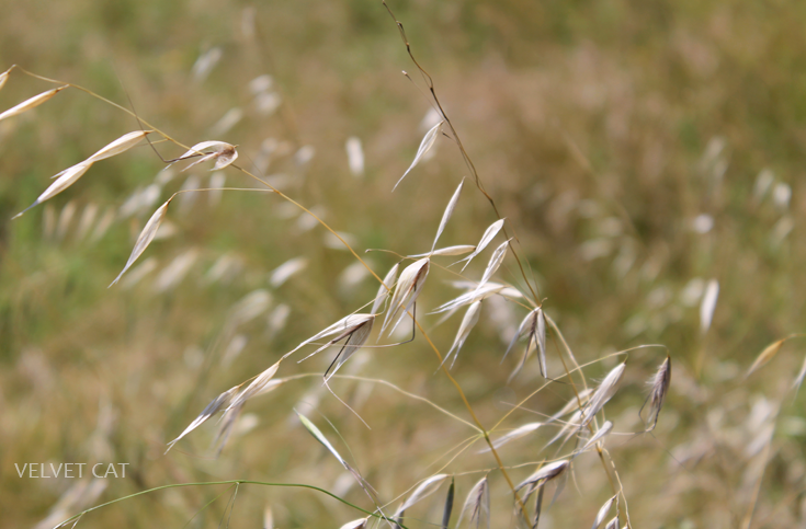 Hoy compartimos tiempo de verano fotografía