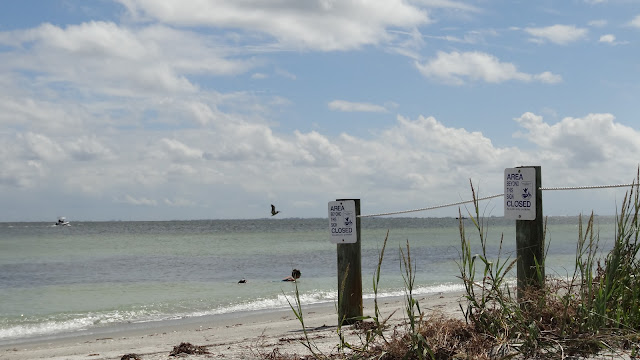Strand von Egmont Key, Florida USA