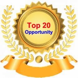 Top 20 Opporrtunity