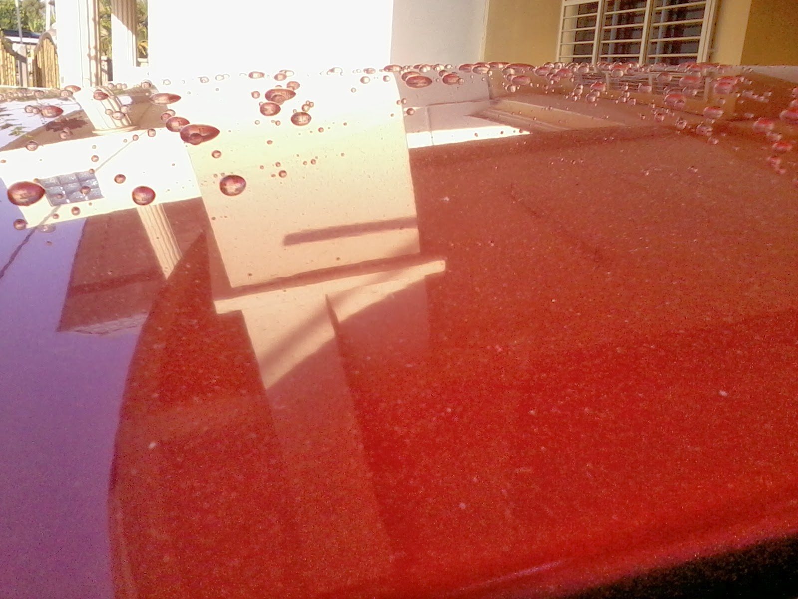 KALEX CAR DETAILING A review of car wax over sealant