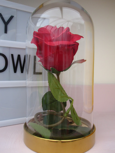 A red rose in a domed glass