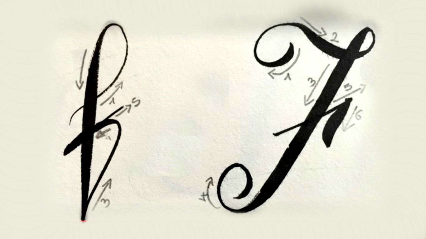 Arte Per Te Corso Di Calligrafia Moderna O Brush Lettering Capitolo 1 Alfabeto In Corsivo