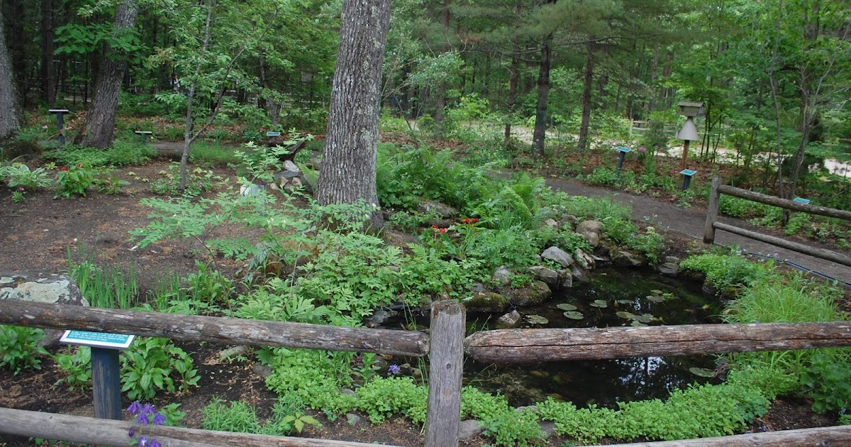 Sprouts Maine Wildlife Park Gardens
