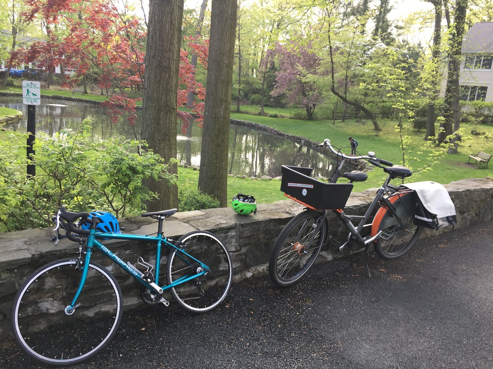 bike snob blog