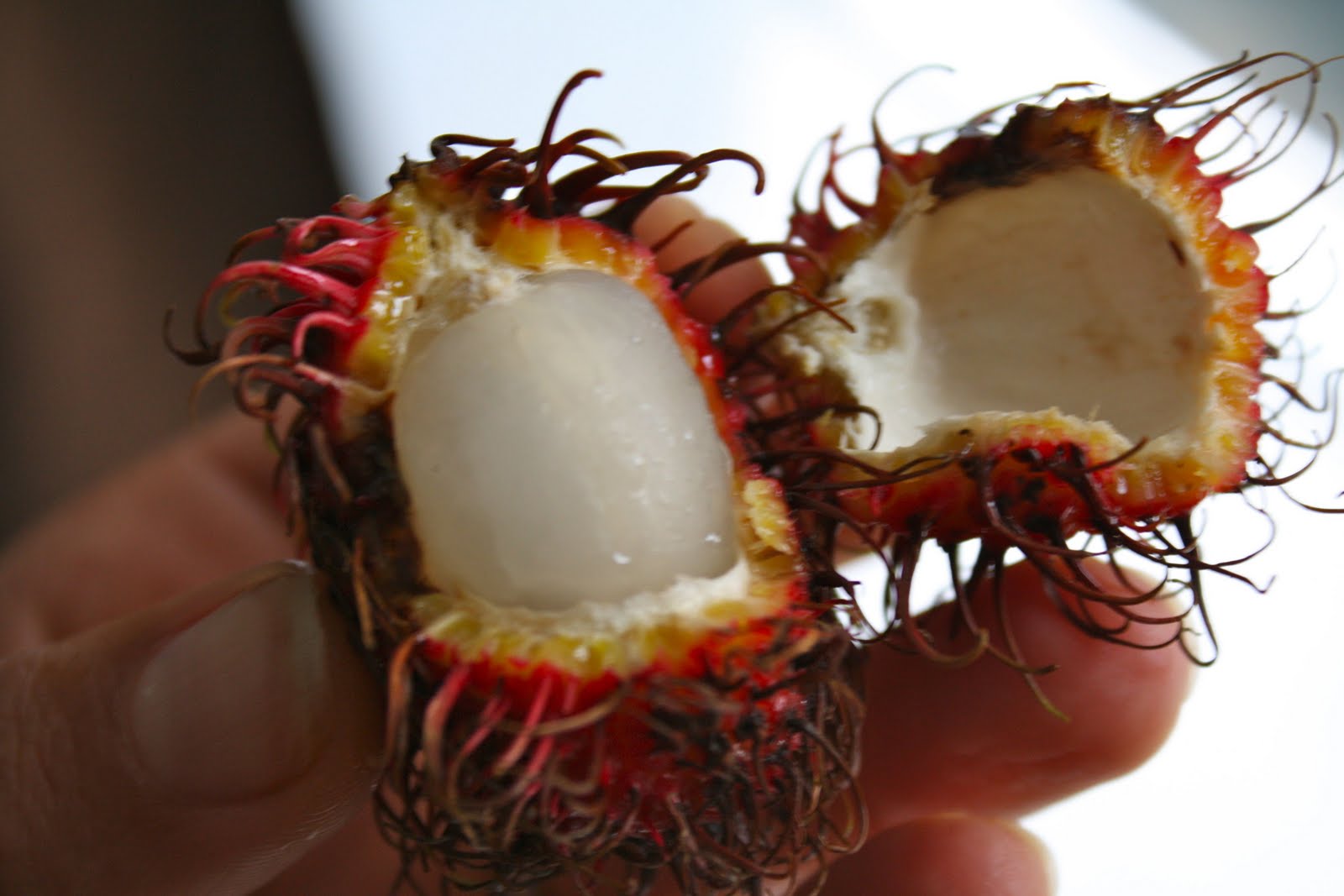 How To Open Rambutan Cabin Blendings: Tropical Fruit Love
